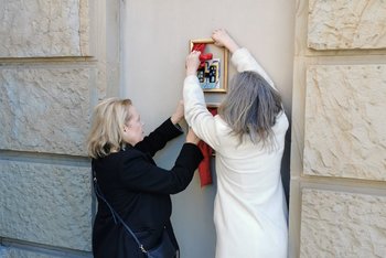 - Bild vergrößern