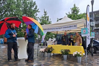 - Bild vergrößern